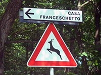Borgata Case Franceschietto