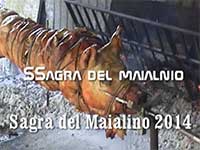 Sagra del Maialino allo spiedo 2014